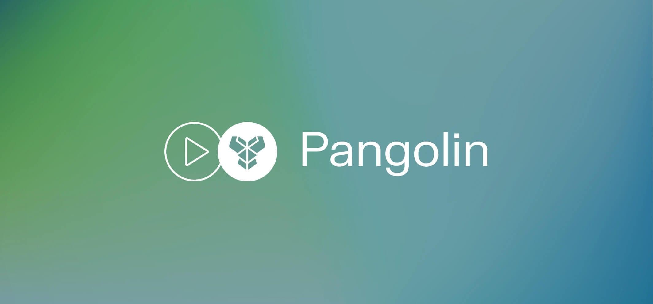 Pangolin – A multi-chain decentralized exchange