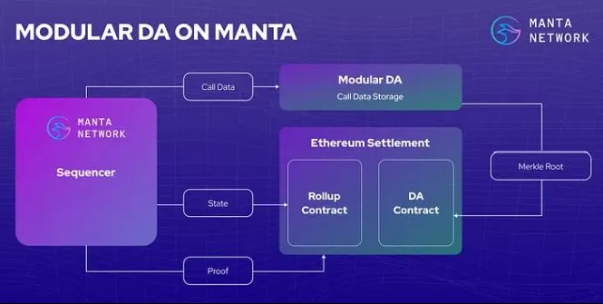 Diagram of modular data availability on Manta: the sequencer posts call data to a modular DA layer and state and proofs to Ethereum