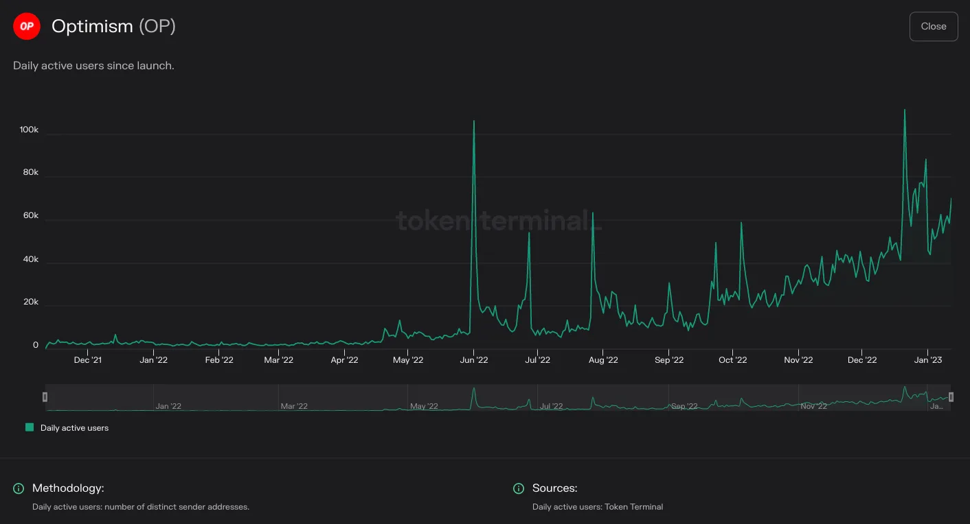 Chart of Optimism daily active users since launch